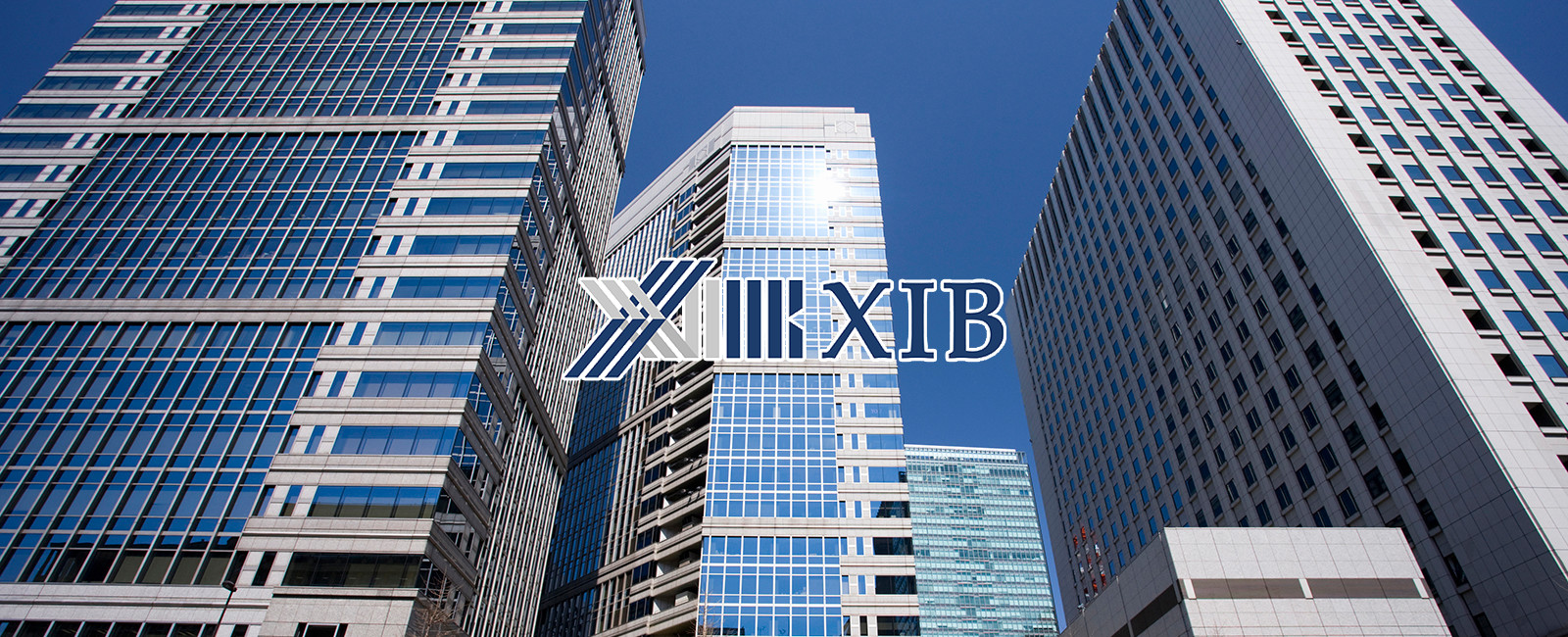 XIB　株式会社